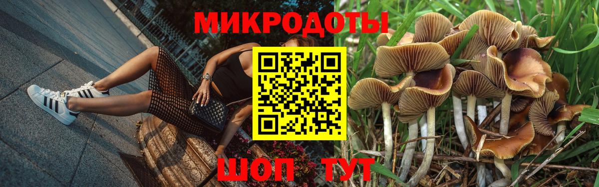 что такое   Вход с VPN  Туапсе  Псилоцибиновые грибы Psilocybine cubensis 